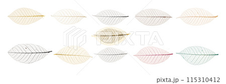 A set of leafy designs with a variety of colors and patterns 115310412