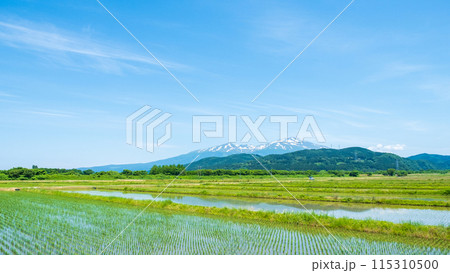酒田市から望む鳥海山 115310500