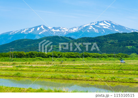 酒田市から望む鳥海山 115310515