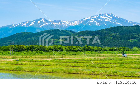 酒田市から望む鳥海山 115310516