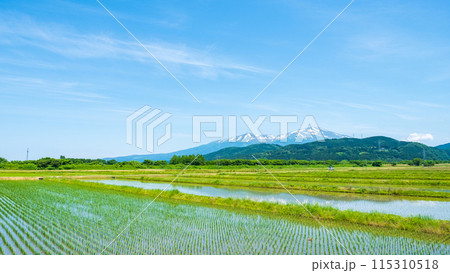 酒田市から望む鳥海山 115310518