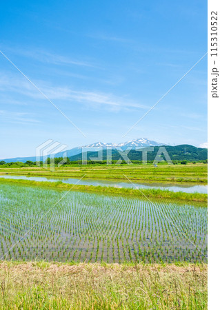 酒田市から望む鳥海山 酒田市から望む鳥海山 115310522