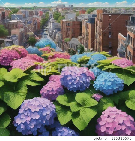 都会に咲く紫陽花 115310570