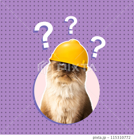 Beige cat with a protective helmet thinking something with question mark signs 115310772