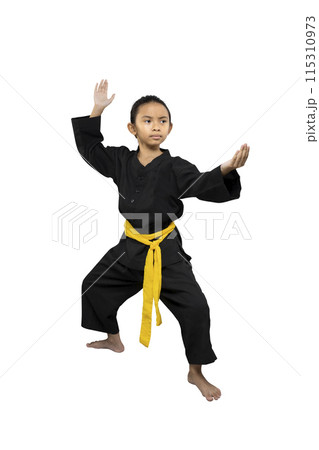 Asian little girl with a yellow sash training martial arts Asian little girl with a yellow sash training martial arts 115310973