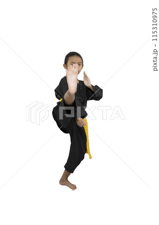 Asian little girl with a yellow sash training martial arts Asian little girl with a yellow sash training martial arts 115310975