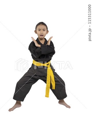 Young martial artist in a karate stance 115311000
