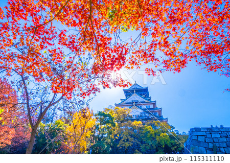 大阪城の紅葉 115311110