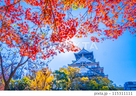 大阪城の紅葉 大阪城の紅葉 115311111
