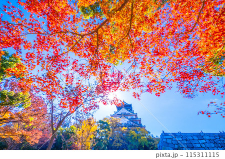 大阪城の紅葉 115311115
