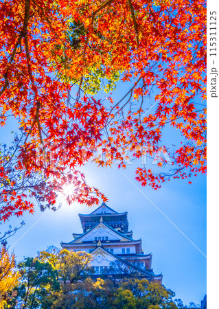 大阪城の紅葉 大阪城の紅葉 115311125