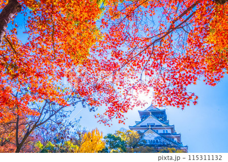 大阪城の紅葉 115311132