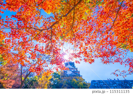 大阪城の紅葉 大阪城の紅葉 115311135