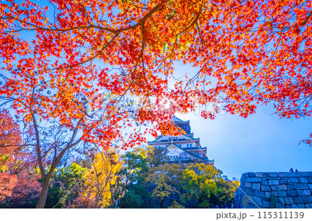 大阪城の紅葉 115311139