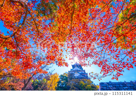 大阪城の紅葉 大阪城の紅葉 115311141