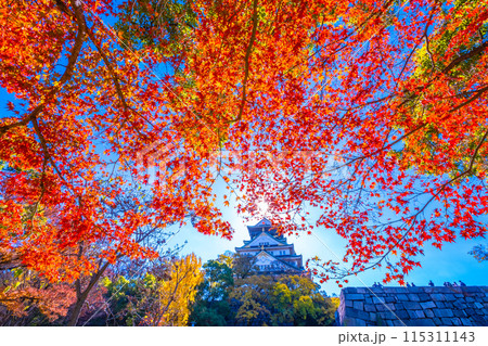 大阪城の紅葉 115311143