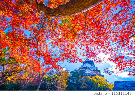 大阪城の紅葉 大阪城の紅葉 115311149