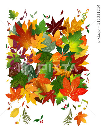 秋の音楽祭 115311214