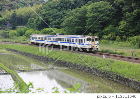 水田の中WO走る汽車 115311640