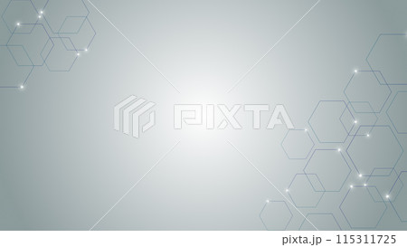 六角形の抽象的なイラスト　両サイドバージョン 115311725