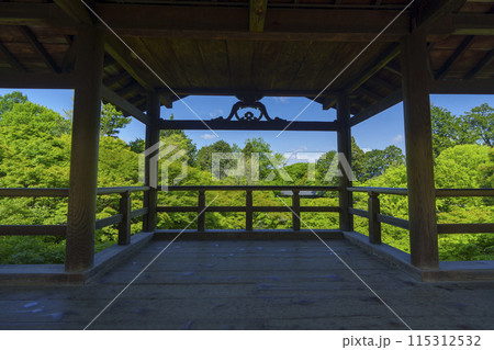 東福寺 洗玉澗 新緑の庭園(京都市東山区) 東福寺 洗玉澗 新緑の庭園(京都市東山区) 115312532