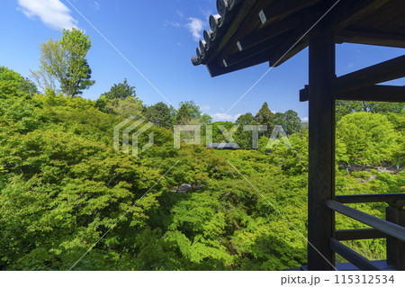 東福寺　洗玉澗　新緑の庭園（京都市東山区） 115312534