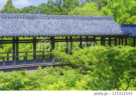 新緑の京都 東福寺 洗玉澗から見える通天橋 新緑の京都 東福寺 洗玉澗から見える通天橋 115312541