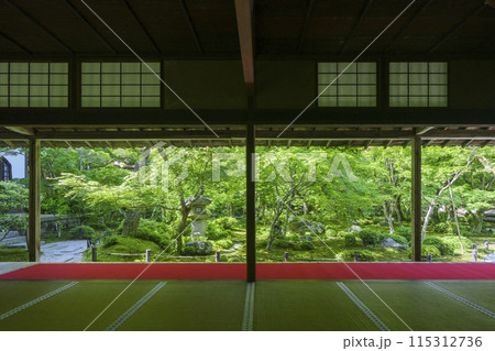 京都 圓光寺 新緑が美しい十牛之庭 京都 圓光寺 新緑が美しい十牛之庭 115312736