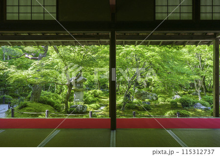 京都 圓光寺 新緑が美しい十牛之庭 京都 圓光寺 新緑が美しい十牛之庭 115312737