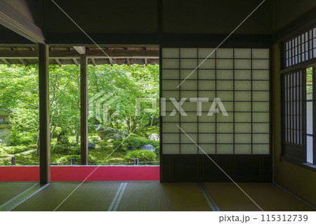 京都 圓光寺 新緑が美しい十牛之庭 京都 圓光寺 新緑が美しい十牛之庭 115312739