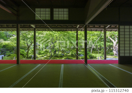 京都 圓光寺 新緑が美しい十牛之庭 京都 圓光寺 新緑が美しい十牛之庭 115312740