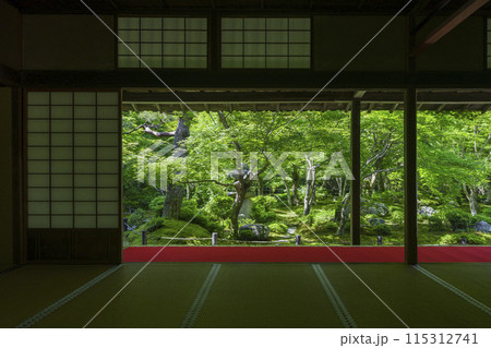 京都　圓光寺　新緑が美しい十牛之庭 115312741