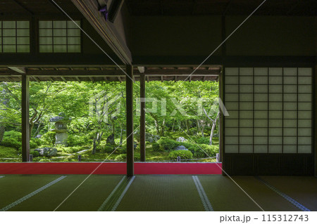 京都 圓光寺 新緑が美しい十牛之庭 京都 圓光寺 新緑が美しい十牛之庭 115312743