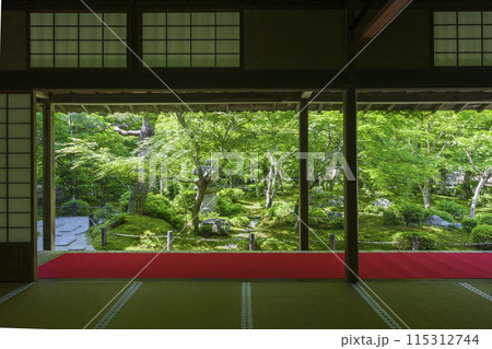 京都　圓光寺　新緑が美しい十牛之庭 115312744