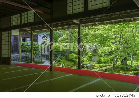 京都 圓光寺 新緑が美しい十牛之庭 京都 圓光寺 新緑が美しい十牛之庭 115312745