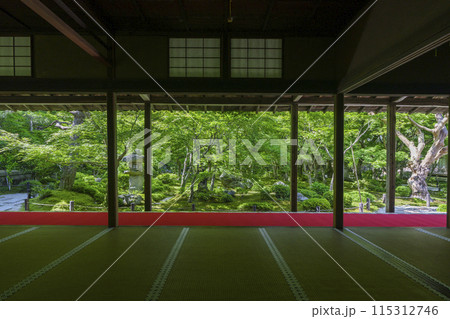 京都 圓光寺 新緑が美しい十牛之庭 京都 圓光寺 新緑が美しい十牛之庭 115312746