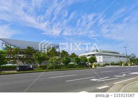 神戸須磨シーワールドの建物を国道2号線越しに見た風景　兵庫県神戸市須磨区 115313167