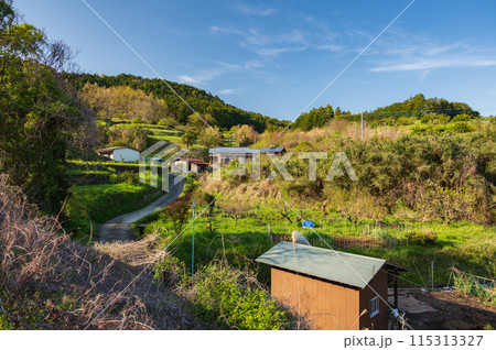 里山の景色 自然豊かな村 里山の景色 自然豊かな村 115313327