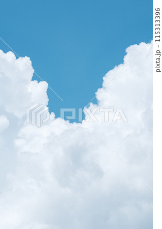 夏の青空 115313396