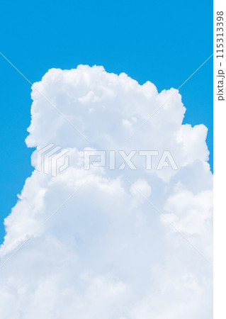 夏の青空 115313398