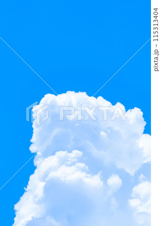 夏の青空 115313404