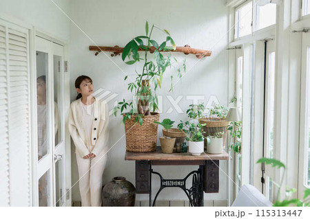 観葉植物に水やりする女性 観葉植物に水やりする女性 115313447