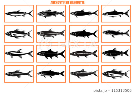set of Anchovy fish silhouette isolated on white, animal anchovy natural logo vector icon silhouette 115313506
