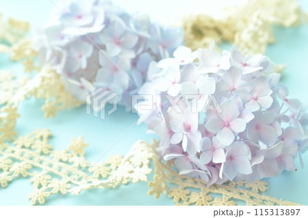 紫陽花とレース 紫陽花とレース 115313897