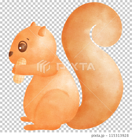 cute cartoon squirrel with nut. 115313928