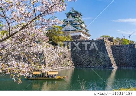 【春の大阪城公園】大阪城天守閣と御座船【桜】 115314187