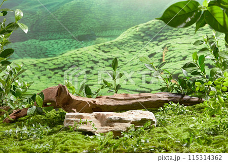 A brown log placed in back of a blank white stone podium on the green lawn, green nature scene covered by yellow sunshine. Advertising photo with blank space for showing product, was taken from front A brown log placed in back of a blank white stone podium on the green lawn, green nature scene covered by yellow sunshine. Advertising photo with blank space for showing product, was taken from front 115314362