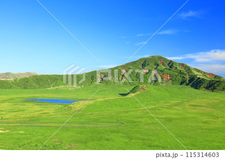 【熊本県】新緑の草千里ヶ浜（阿蘇山） 115314603