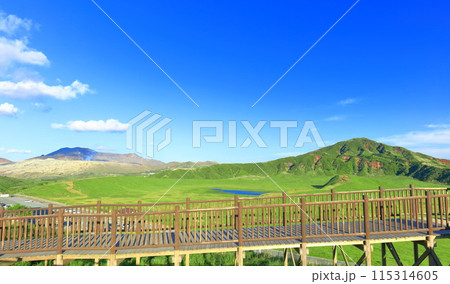 【熊本県】新緑の草千里ヶ浜(阿蘇山) 【熊本県】新緑の草千里ヶ浜(阿蘇山) 115314605