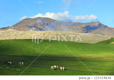 【熊本県】快晴の阿蘇山の山頂(中岳) 【熊本県】快晴の阿蘇山の山頂(中岳) 115314638